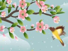 2025年5月搬家哪天好最佳吉日查詢 合適搬家日推薦