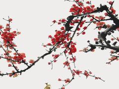 2025年五月最佳結婚日測算 哪天好