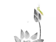 2025年5月最佳搬家吉日查詢合適