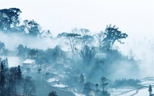 2025麥玲玲十二生肖兔詳解 麥玲玲2025生肖佩戴飾物