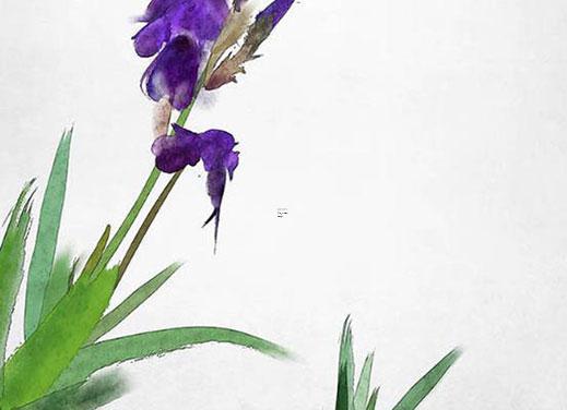 2025年5月搬家入宅哪日吉日最好 查詢 2025年5月搬家入宅哪日吉日最好 查詢