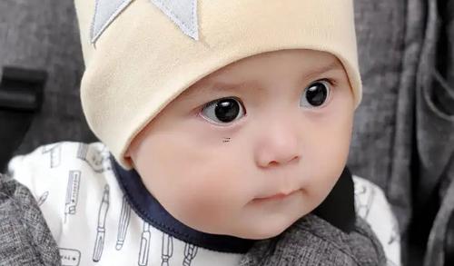 女人夢見母豬生崽好不好 女人夢見母豬生崽好不好