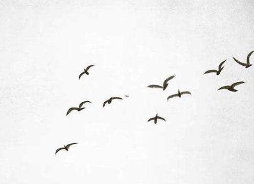 吉利搬家日查詢 2025年5月哪日最好 吉利搬家日查詢 2025年5月哪日最好