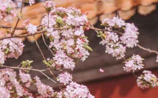 2025年6月團年飯吉日 2025年吃團年飯吉日 2025年6月團年飯吉日 2025年吃團年飯吉日