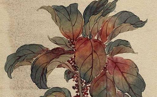 2025六月拜年黃道吉日 2025年六月黃道吉日 2025六月拜年黃道吉日 2025年六月黃道吉日