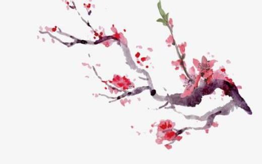 屬豬2025年5月適宜吉日查詢和測算 哪天好適合屬豬的朋友 屬豬2025年5月適宜吉日查詢和測算 哪天好適合屬豬的朋友