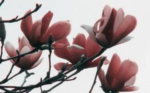 6月份開(kāi)工吉日2025年 裝修開(kāi)工吉日2025年6月份 6月份開(kāi)工吉日2025年 裝修開(kāi)工吉日2025年6月份