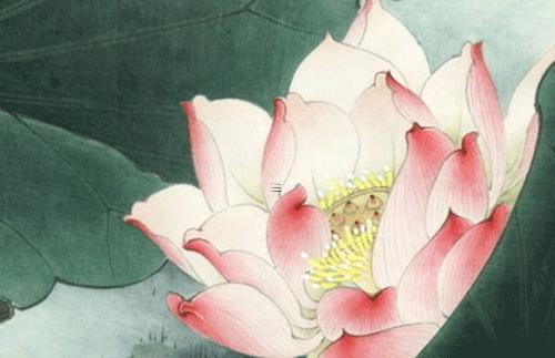 屬兔人本命年可以投資嗎,屬兔本命年不能結(jié)婚嗎 屬兔人本命年可以投資嗎,屬兔本命年不能結(jié)婚嗎