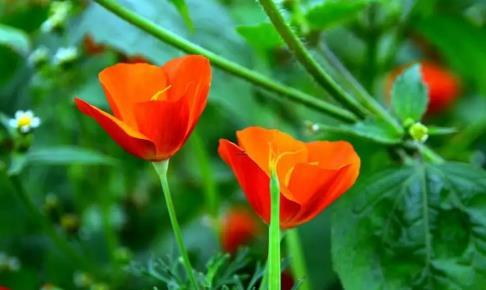 夢見自己手摸到了女人的月經 夢見自己手摸到了女人的月經