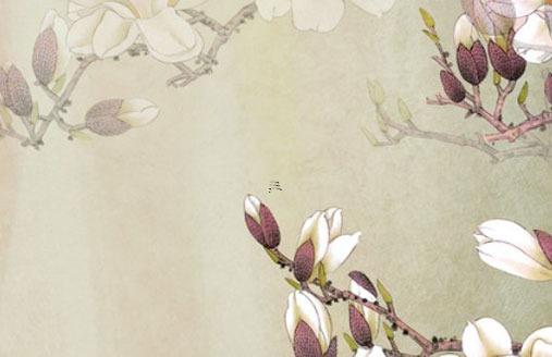 射手座2025年的運(yùn)勢(shì) 射手座2025年的學(xué)業(yè)運(yùn)