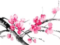 七六年屬龍女2025年每月運勢完整版 七六年屬龍女今年每月運氣如何