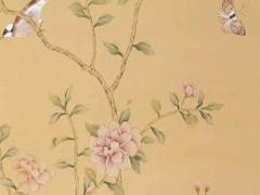 水兔本命年好不好運,水兔命好嗎