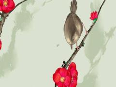 屬猴的人今年財運 屬猴人的婚姻運勢