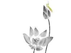 屬兔的本命年不能帶兔子嗎為什么,兔本命年戴什么首飾好