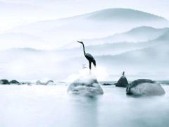 2025年六月動手術(shù)吉日 2025年六月適合手術(shù)的黃道吉日