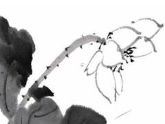 爸爸本命年買什么禮物,爸爸本命年,送什么禮物