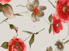 男士本命年戴什么飾品好屬牛,男人本命年戴什么轉運屬牛