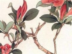 屬兔的女寶寶本命年運勢如何,屬兔本命年生小孩好嗎