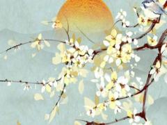 虎女2025年4月運(yùn)勢(shì) 虎女今明兩天運(yùn)勢(shì)