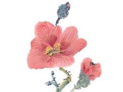 屬龍的今年犯太歲 屬龍今年紅繩戴哪只手