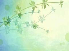 2025年那些生肖犯太歲沖太歲 2025年生肖日歷