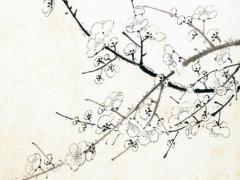 2025年六月份過門吉日 2025年六月安門的日子