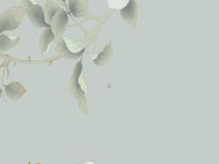 2025年6月份捕捉吉日 2025年6月15日