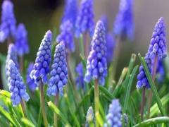 夢見給小孩喂飯