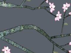 男方本命年可以訂婚嗎屬兔女,男的本命年可以訂婚嗎