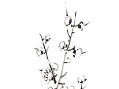 2025年5月拆房好日子測算哪天吉利