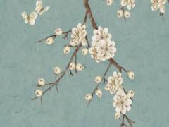 2025年財運好的生肖 2025年生肖運勢李居明屬豬