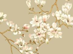 2025六月領結婚吉日 2025年6月領結婚黃道吉日是哪幾天