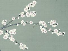 85年屬牛女在2025年的運勢和財運 85年屬牛戴什么最旺