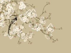 2025年5月適合生子的日子與生肖