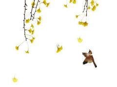 送屬兔本命年什么禮物好一點(diǎn),兔本命年戴什么轉(zhuǎn)運(yùn)