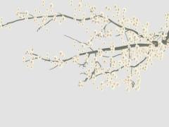 2025年合適開業的吉日查詢 2025年5月最佳選擇