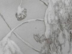 動土的好日子推薦 2025年5月適合的日子