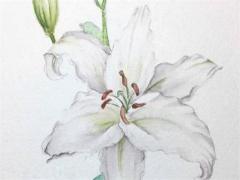 虎年運(yùn)勢(shì)2025年運(yùn)程如何呢 虎年運(yùn)勢(shì)2022運(yùn)勢(shì)詳解表