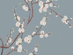 2025年六月二十吉日是哪一天