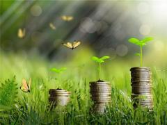 夢見柚子樹上結了好多柚子