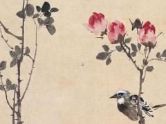 屬兔的本命年前一年運(yùn)勢(shì),屬兔在本命年運(yùn)氣