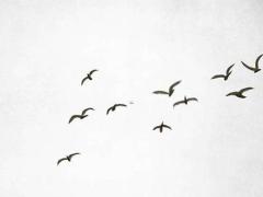 吉利搬家日查詢 2025年5月哪日最好