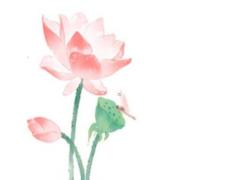 吉利購車日 2025年5月的好日子