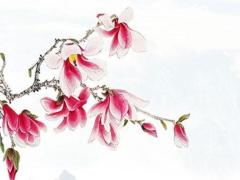 2025年5月生子吉利日子測算哪天好