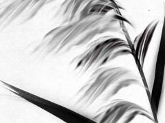 換門窗吉日2025年6月 換門窗用看日子嗎