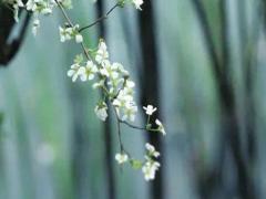 2025黃歷6月吉日查詢 2025黃歷6月宜求醫的吉日