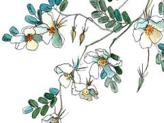 屬牛人2025年5月搬家適宜日推薦 吉利日測算