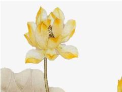 適宜入伙的好日子 2025年5月吉日查詢