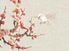 明年本命年兔可以結婚嗎好嗎,明年本命年可以懷孕嗎