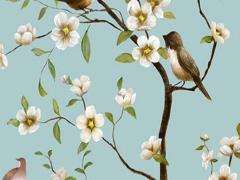 兔年屬豬男的運勢怎么樣,兔年屬豬人的運勢如何